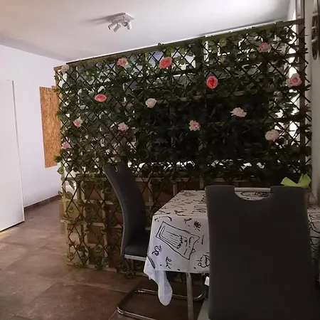 Apartment Spin&go
