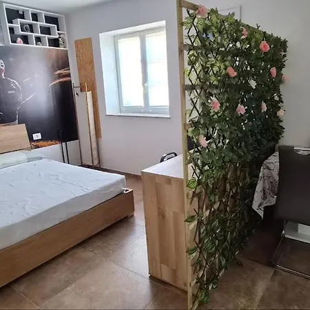 Apartment Spin&go Bertoki